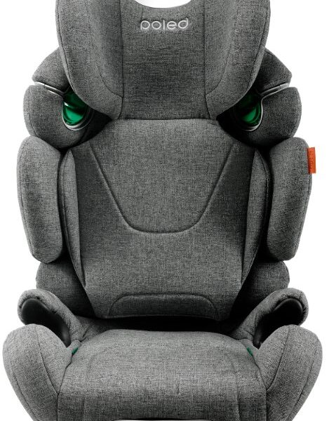 Poled Ball Fix I-Size 汽車安全座椅 灰
