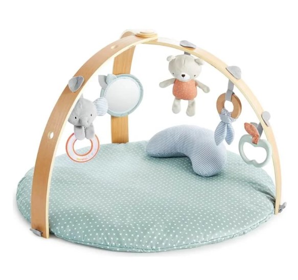 kids2 Ingenuity Cozy Spot  雙面羽絨被活動健身架