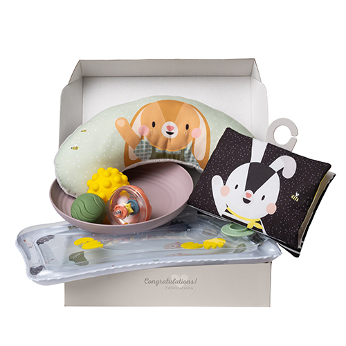 以色列TAF TOYS 遊戲墊-樹熊